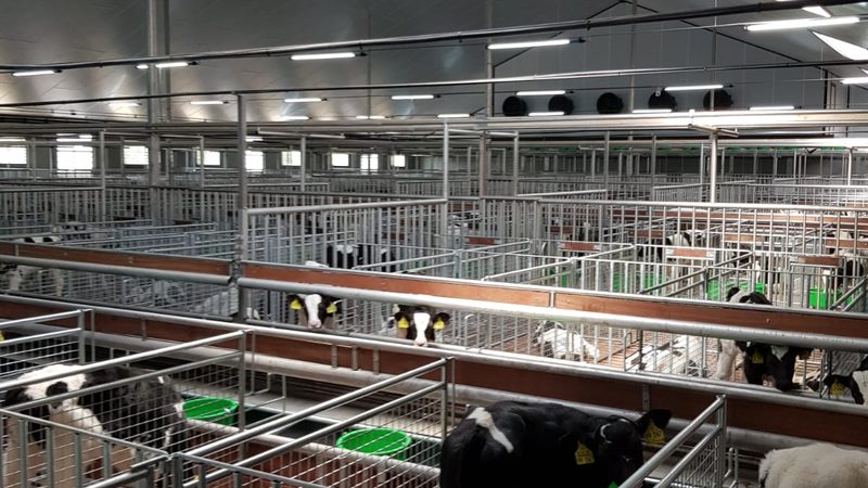 直播电商数据分析：揭秘提升转化率的秘密武器
